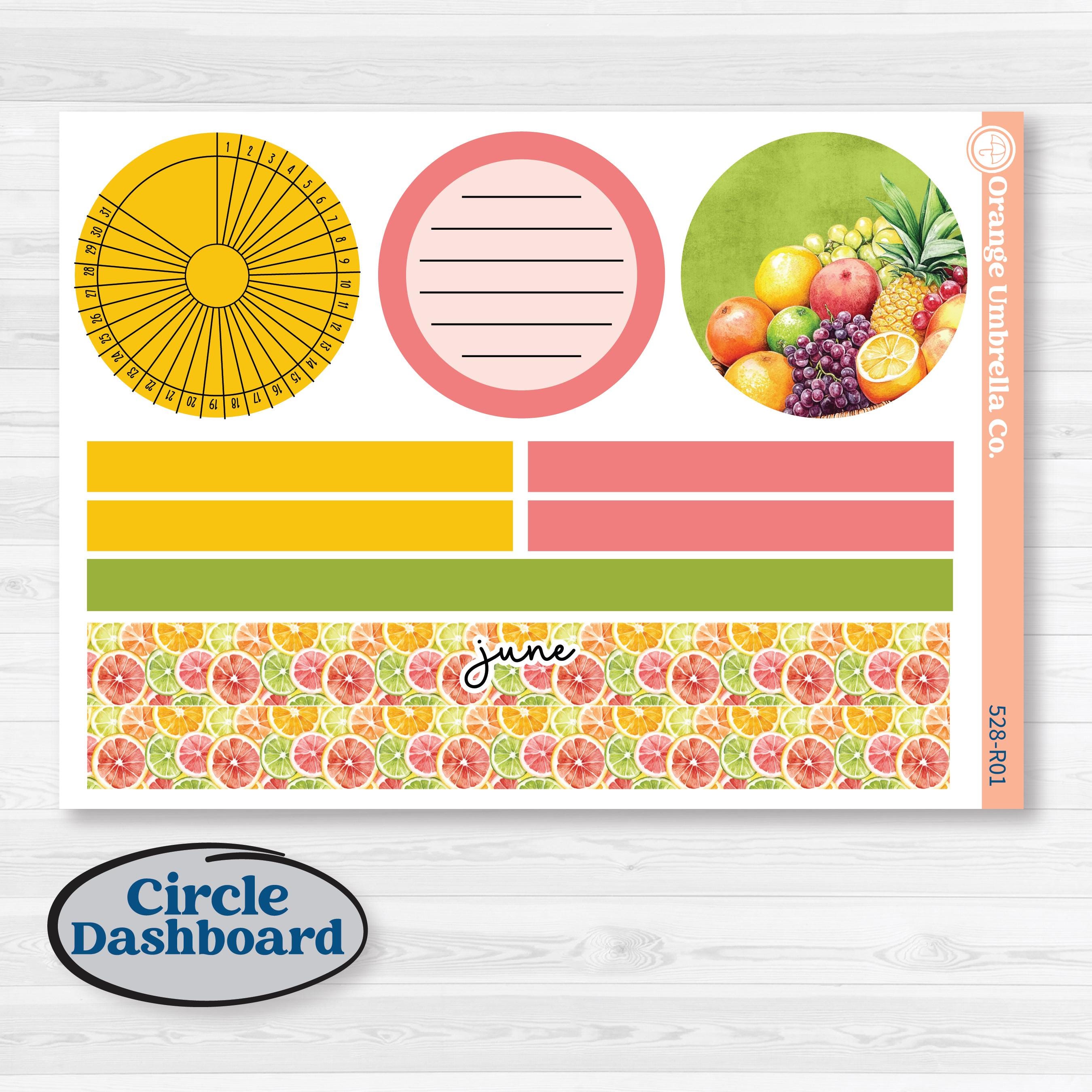Bright Fruit Stickers | 8.5x11 Plum Monthly & Dashboard Planner Kit Stickers | Burst | KIT-528-R