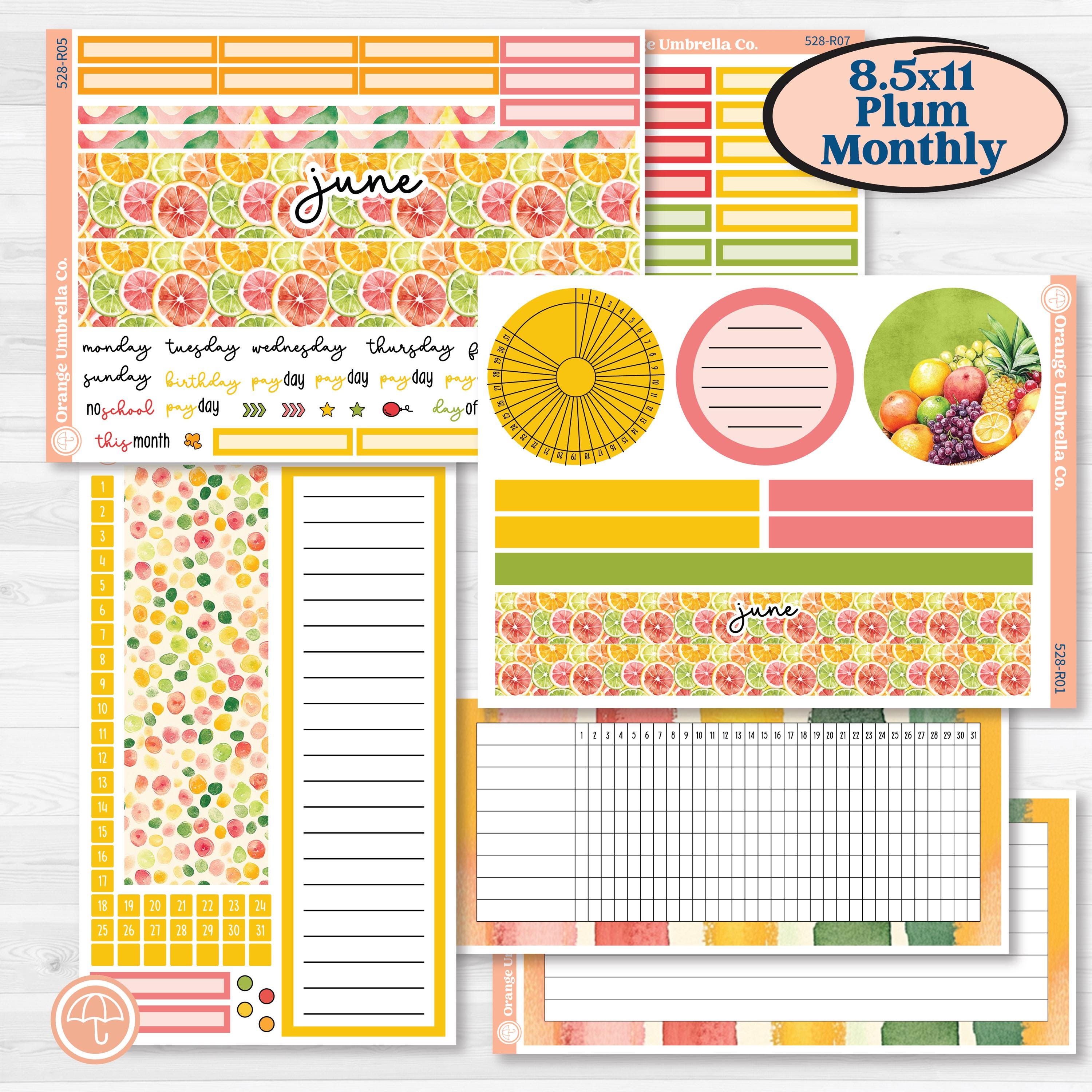 Bright Fruit Stickers | 8.5x11 Plum Monthly & Dashboard Planner Kit Stickers | Burst | KIT-528-R