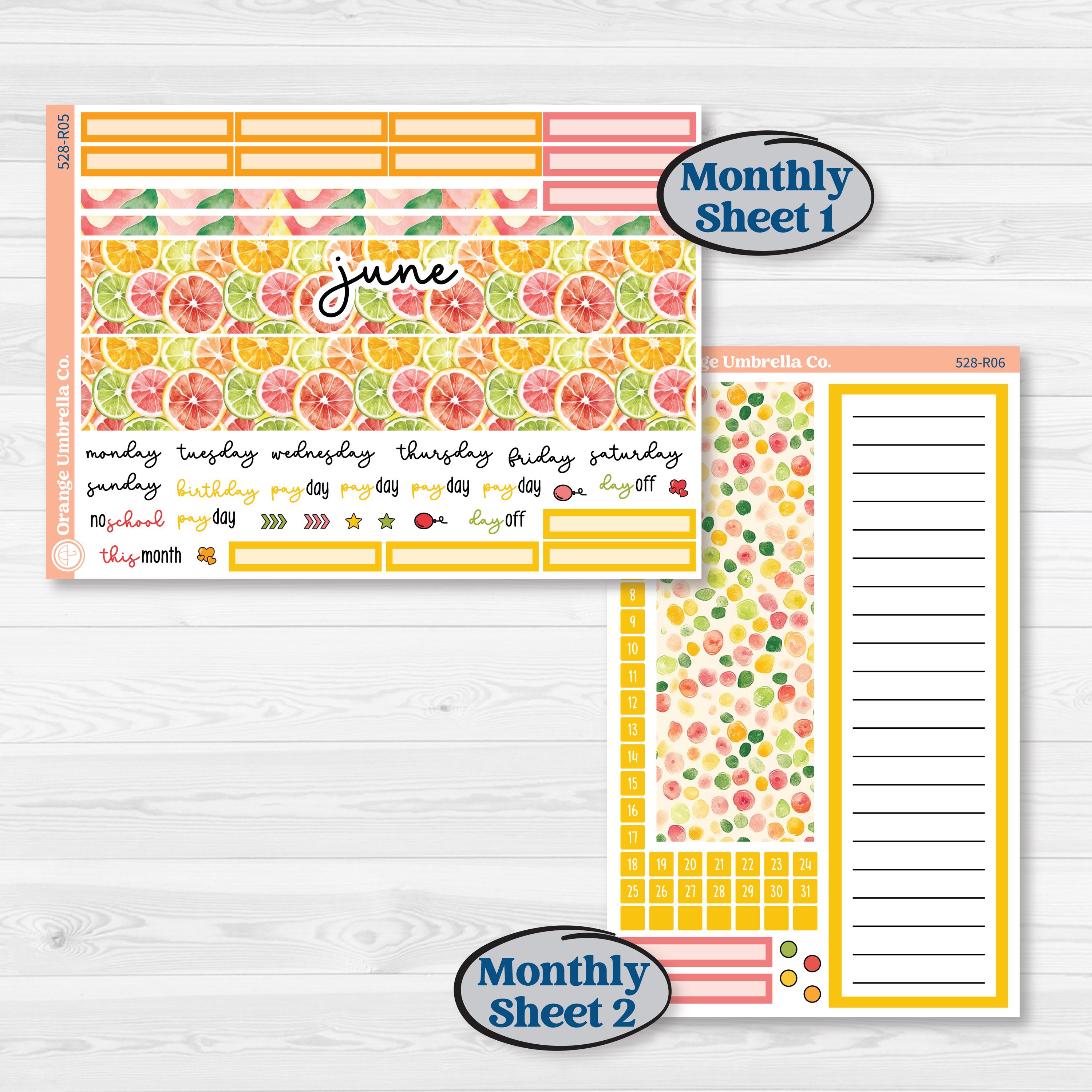 Bright Fruit Stickers | 8.5x11 Plum Monthly & Dashboard Planner Kit Stickers | Burst | KIT-528-R