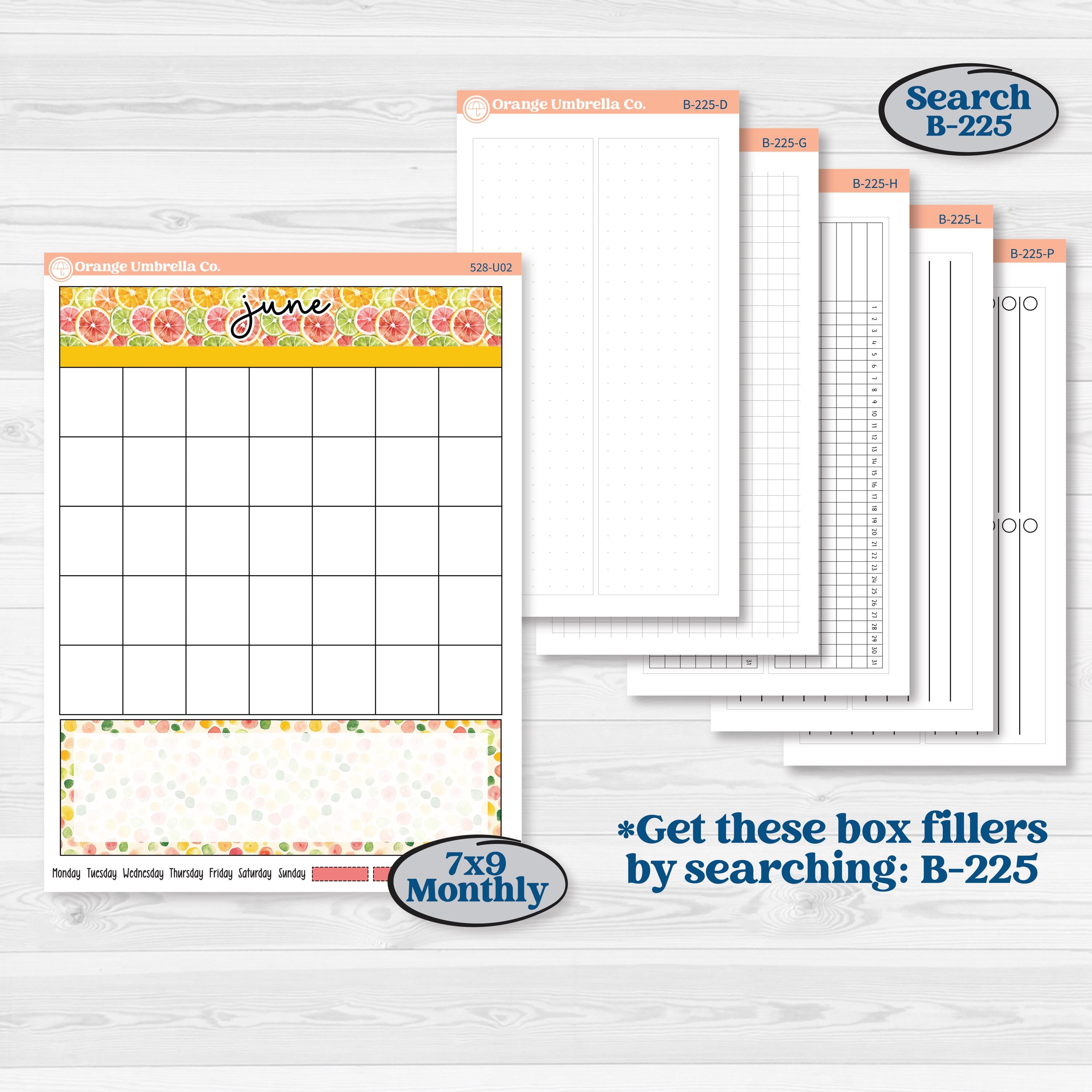 Bright Fruit Stickers | A5 or 7x9 Create Your Own Monthly or Dashboard Universal | Reading Log Sticker Kit | Burst | KIT-528-U