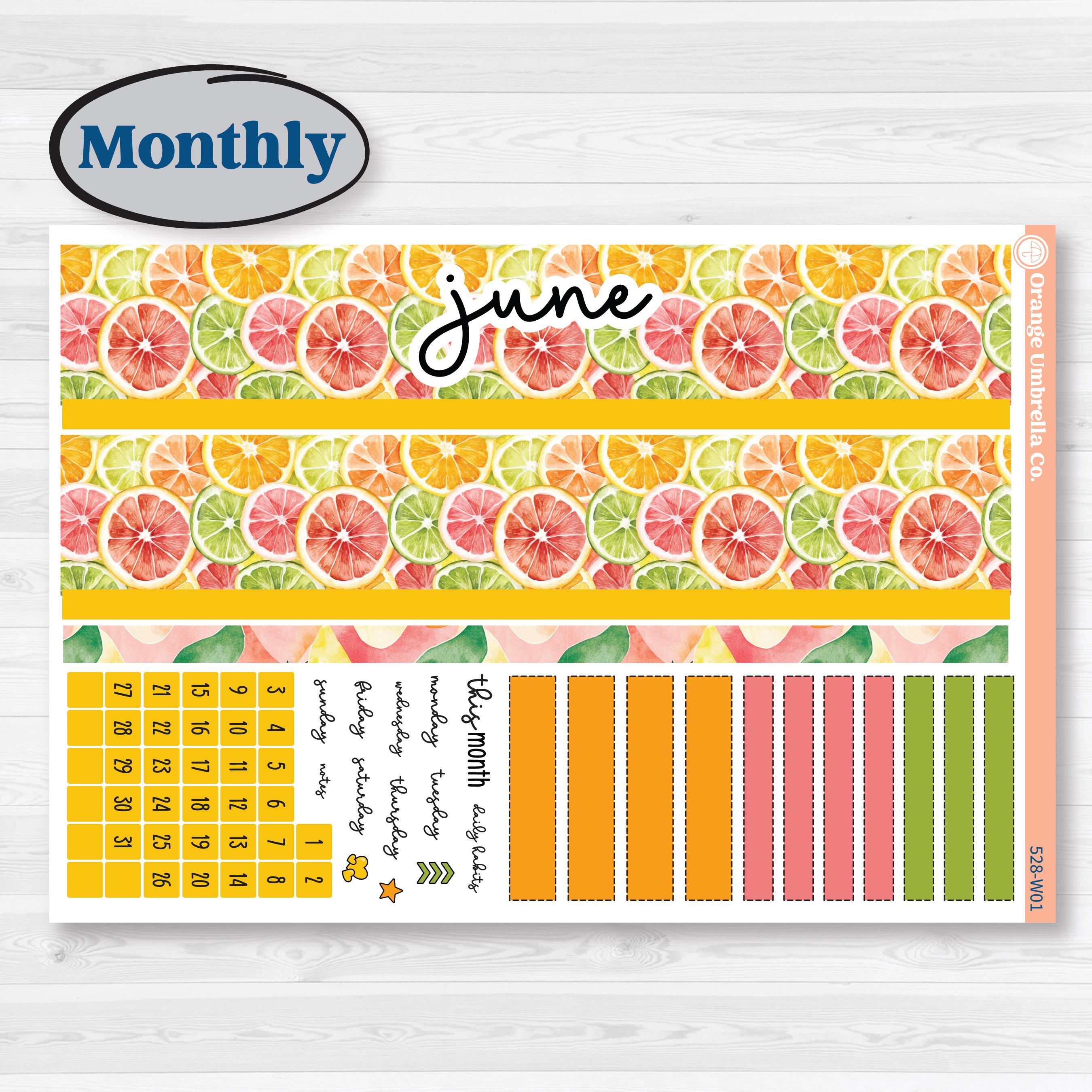 Bright Fruit Stickers | Laurel Denise Scout Large Planner Kit Stickers | Burst | KIT-528-W
