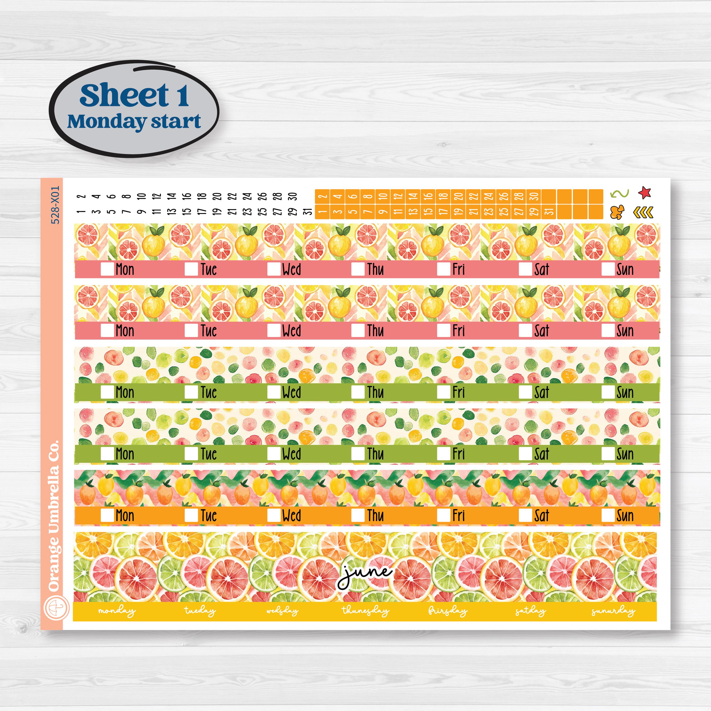 Bright Fruit Stickers | Laurel Denise Jo Large Planner Kit Stickers | Burst | KIT-528-X