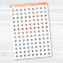 Star Inductive Bible Study Clear Matte Faith Icons Planner Stickers | F-021-CM