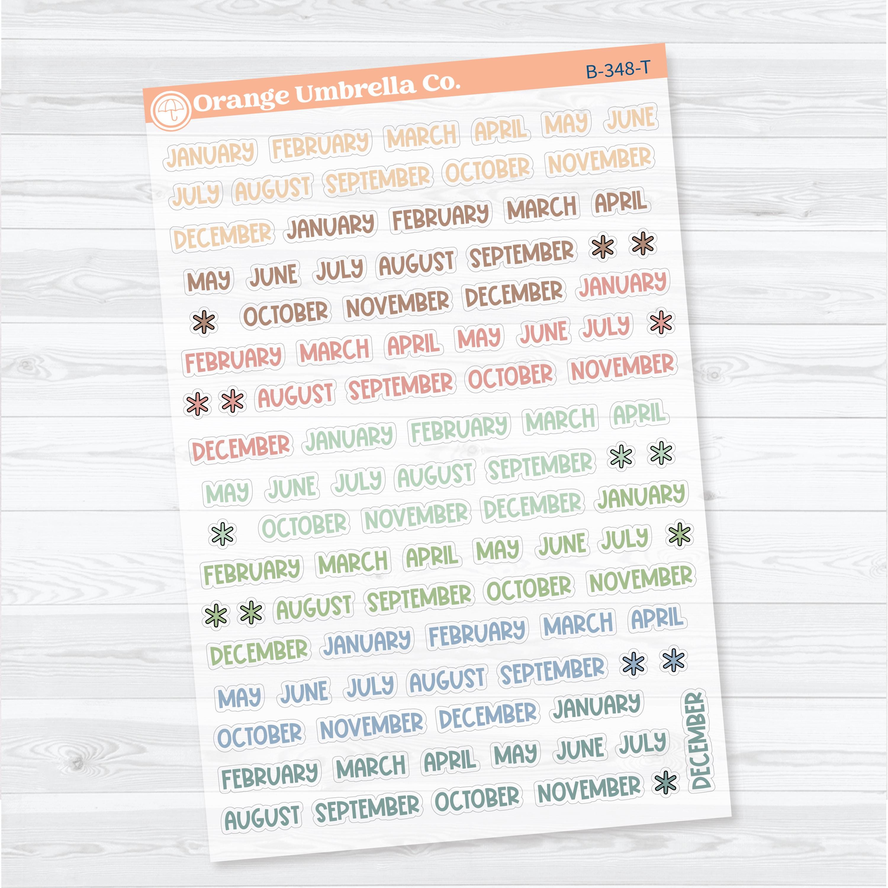 Funky Font Mini Months | Clear Matte Monthly Planner Stickers | B-348-CM