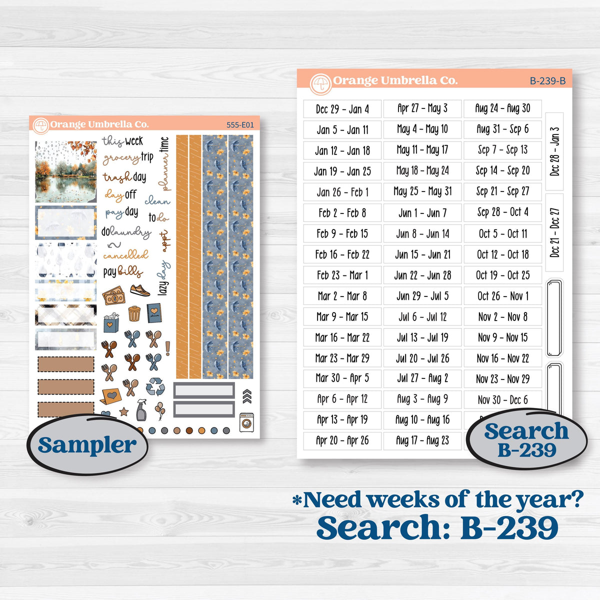 Reading Planner Kit | Hobonichi Cousin Weekly & Daily Planner Kit Stickers | Reading Weather | KIT-555-E