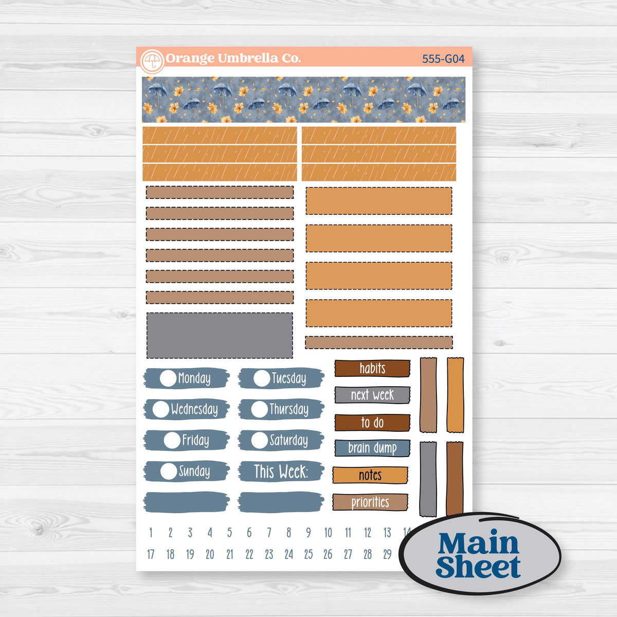 Reading Planner Kit | Erin Condren A5 Weekly Dashboard Planner Kit Stickers | Reading Weather | KIT-555-G4