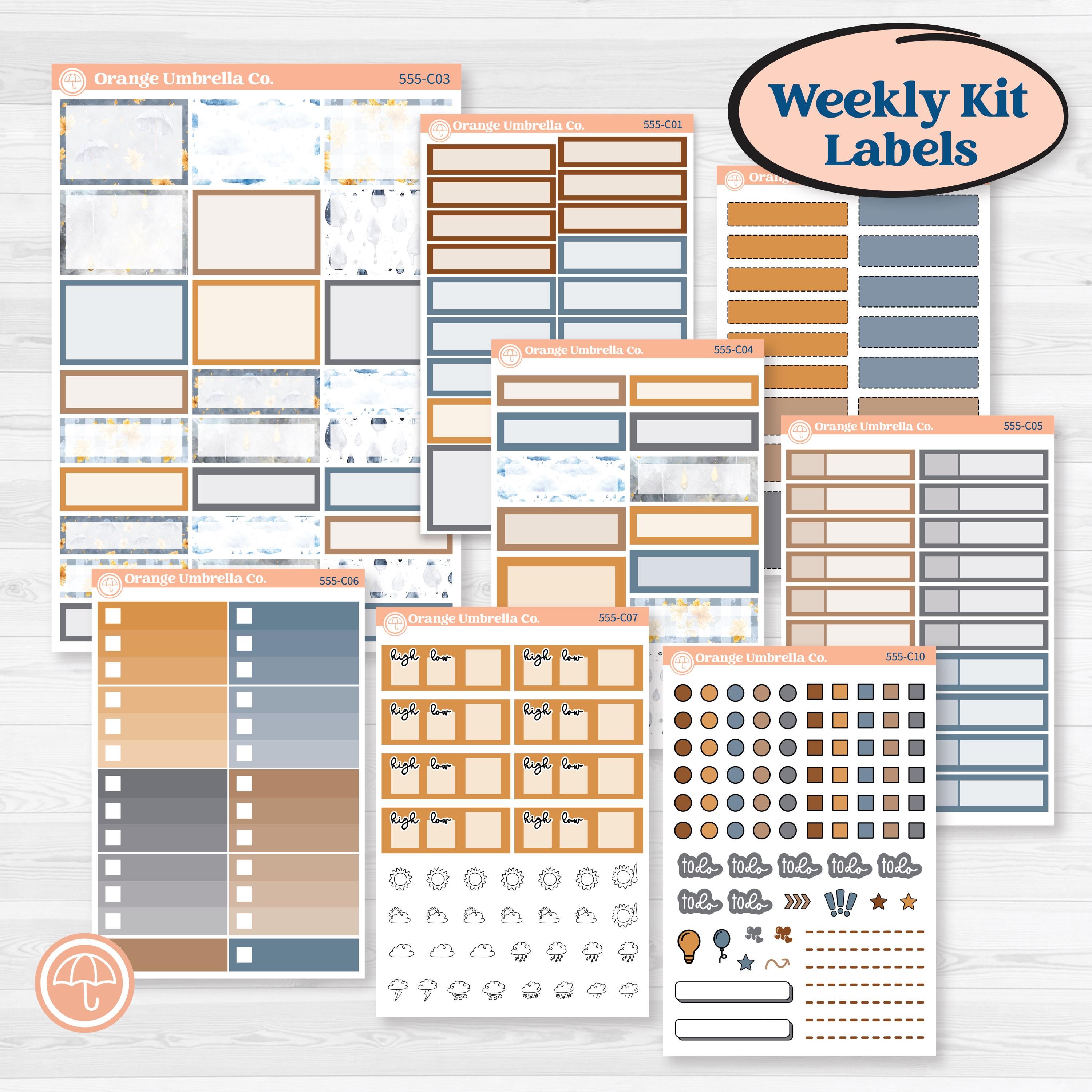 Reading Planner Kit | Weekly Add-On Labels Planner Kit Stickers | Reading Weather | KIT-555-C
