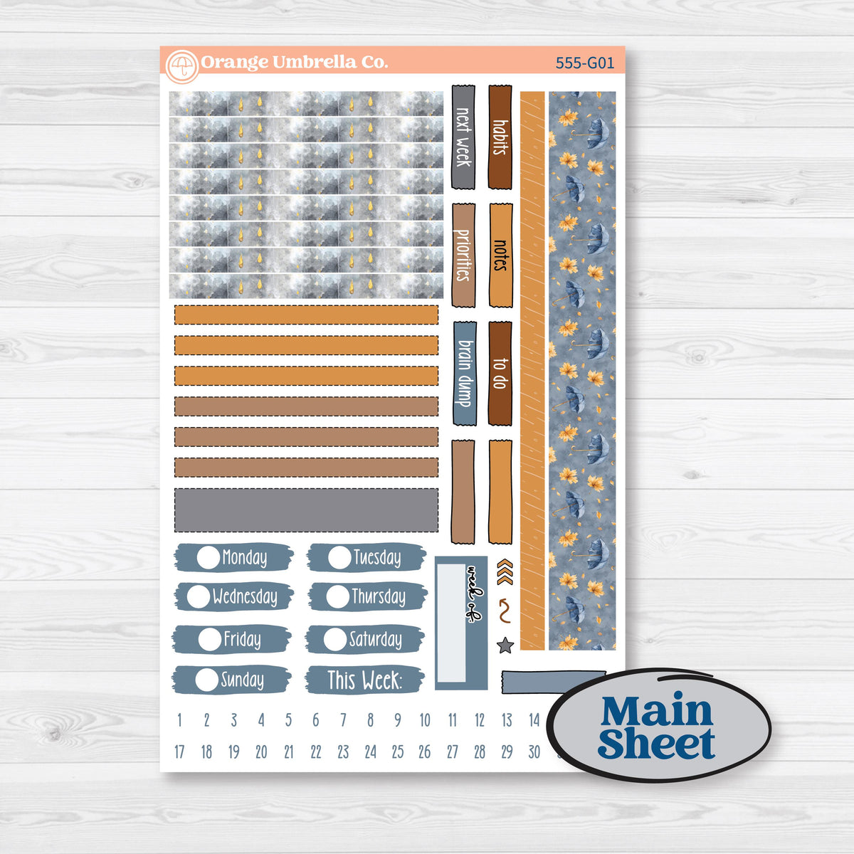 Reading Planner Kit | Erin Condren 7x9 Weekly Dashboard Planner Kit Stickers | Reading Weather | KIT-555-G