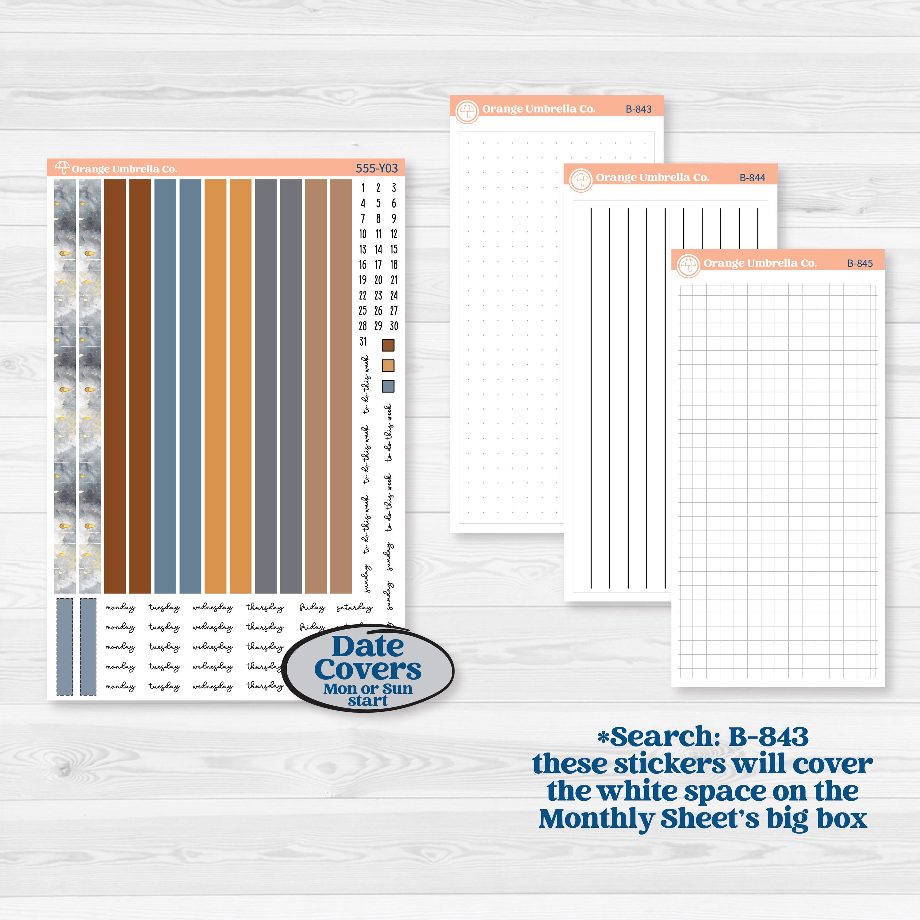 Reading Planner Kit | Laurel Denise Scout Small Planner Kit Stickers | Reading Weather | KIT-555-Y