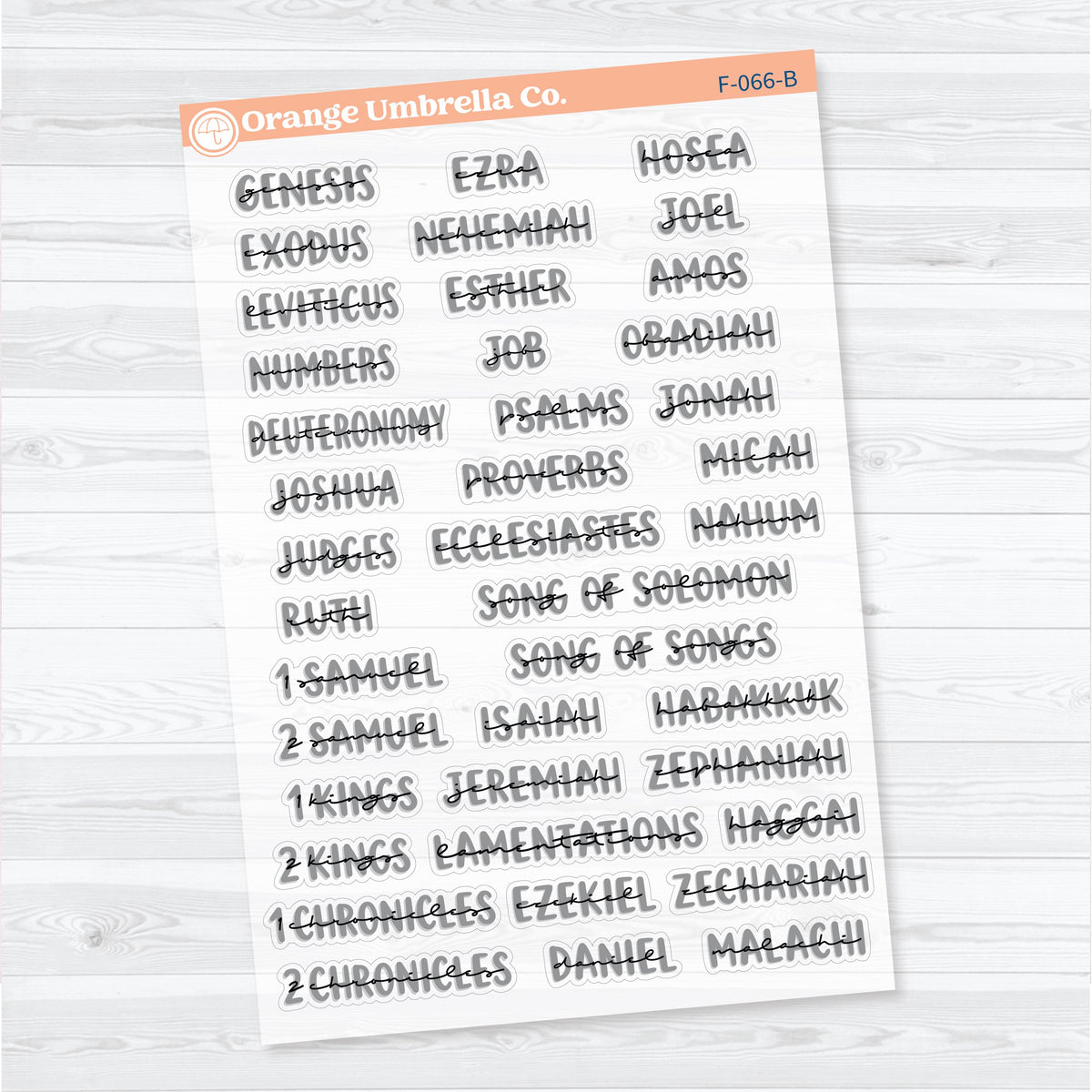 Medium Books of the Bible | Clear Matte Faith & Bible Journaling Planner Stickers | F-066-067-BCM