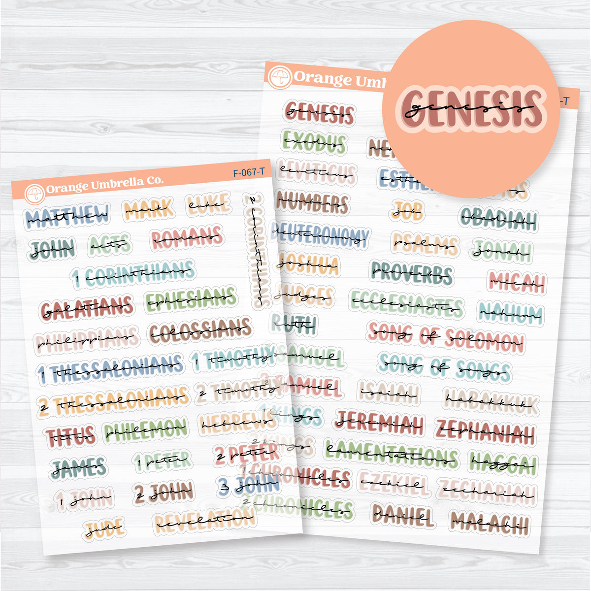 Medium Books of the Bible | Clear Matte Faith & Bible Journaling Planner Stickers | F-066-067-TCM