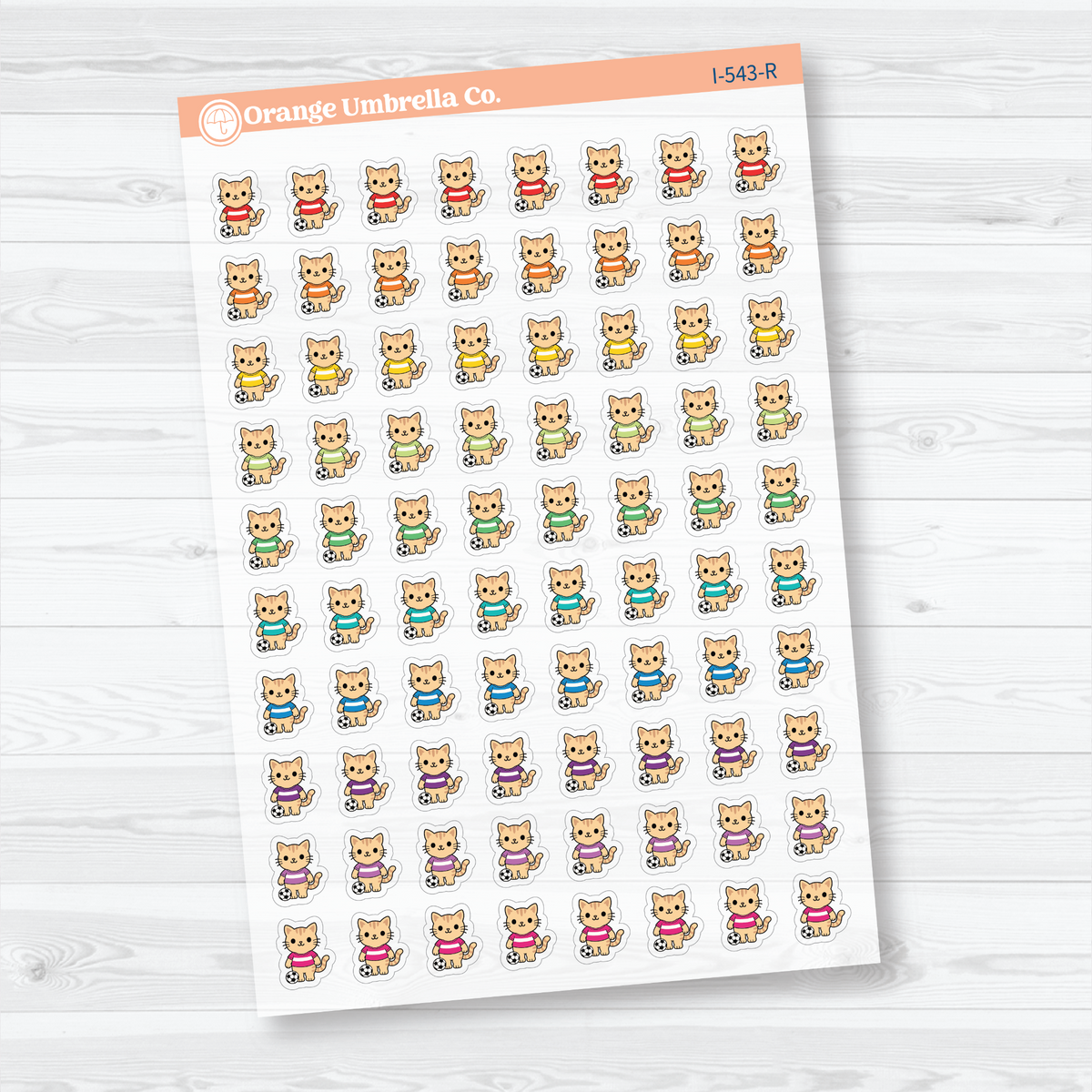 Rainbow mini soccer Spazz clear matte stickers showing an orange cat beside a soccer ball for marking practices and games.