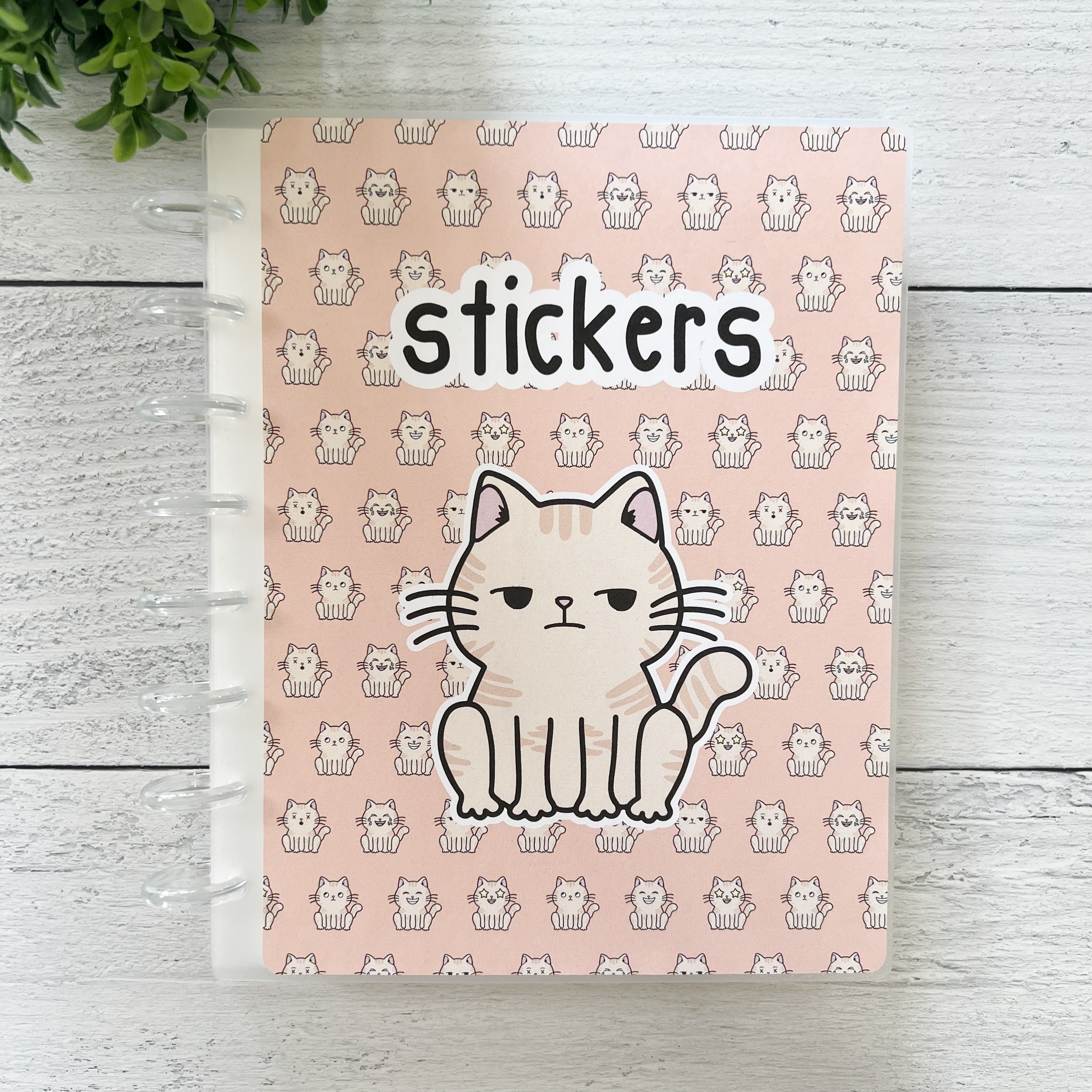 50% OFF CLEARANCE | 2-Pocket Interchangeable Disc Storage Album For 3x5-4x6 Planner Stickers - Side Eye Spazz | 2P-Album12