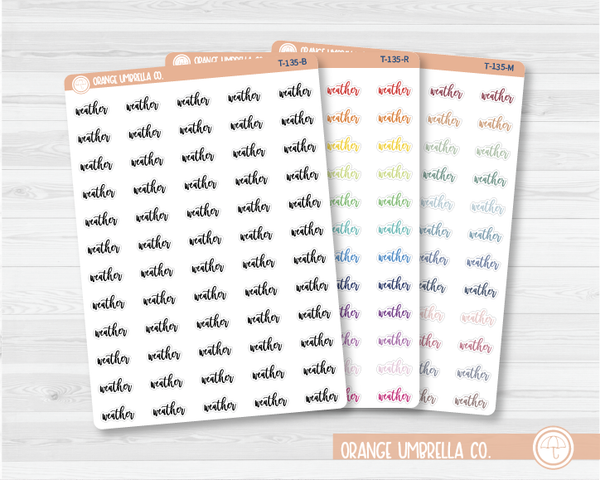 CLEARANCE | Weather Script Planner Stickers | F2  | T-135 / 946-013