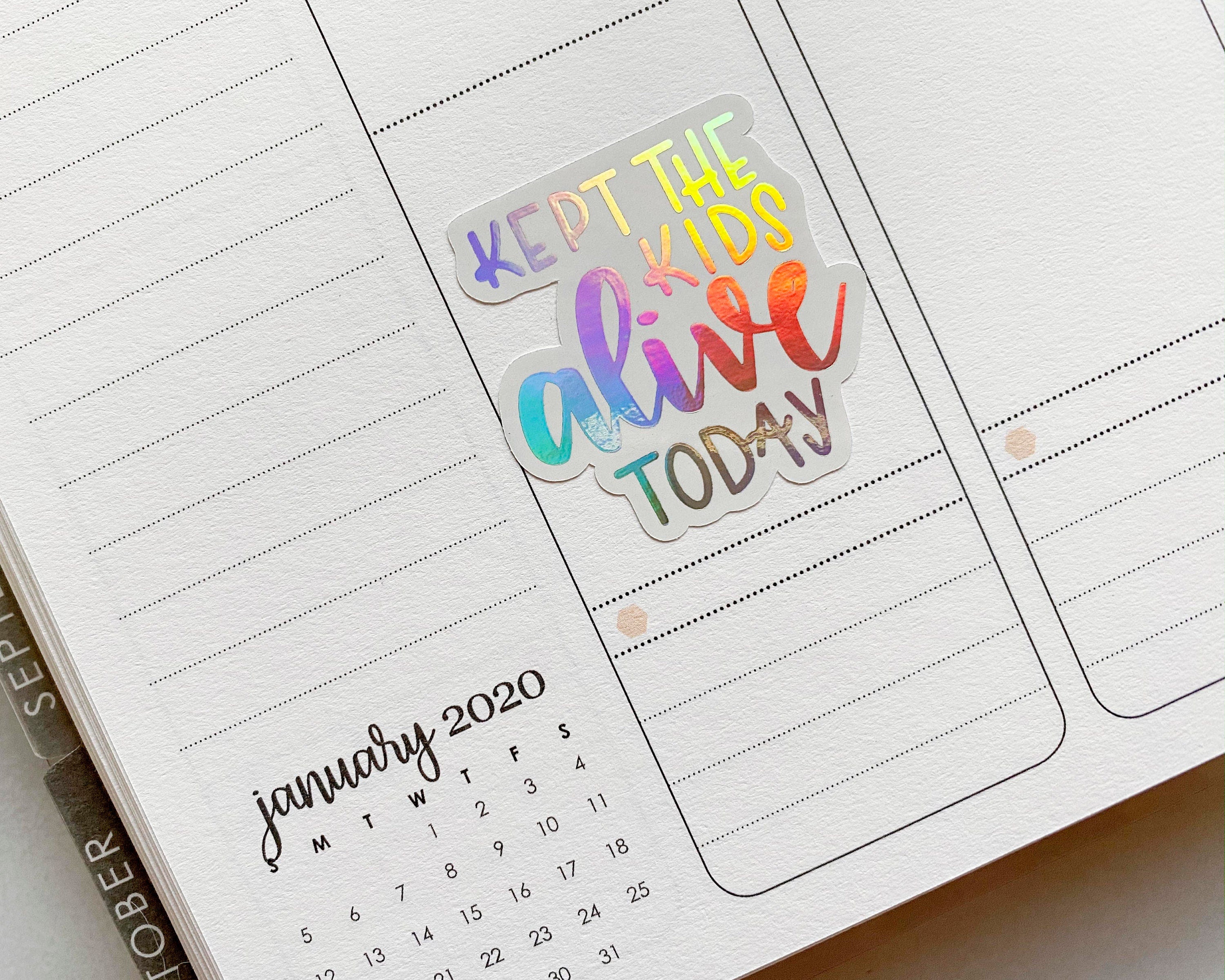 Humorous Adulting Quote Mix Sheet Script Planner Stickers | F7 | D-023-F-HO