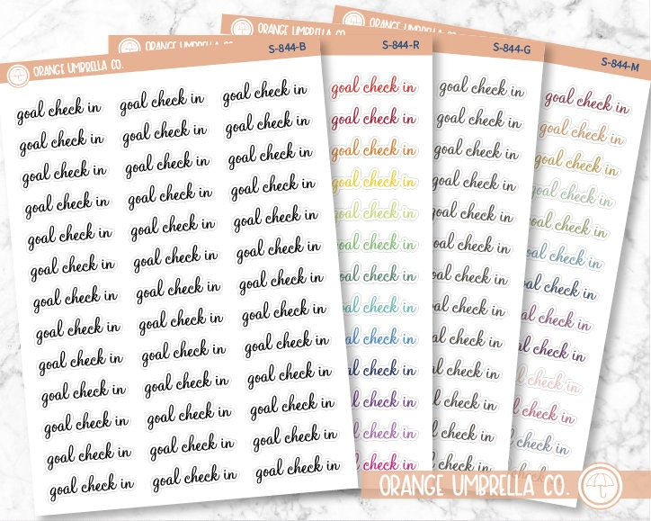 CLEARANCE | Goal Check In Script Planner Stickers | F4 | S-844