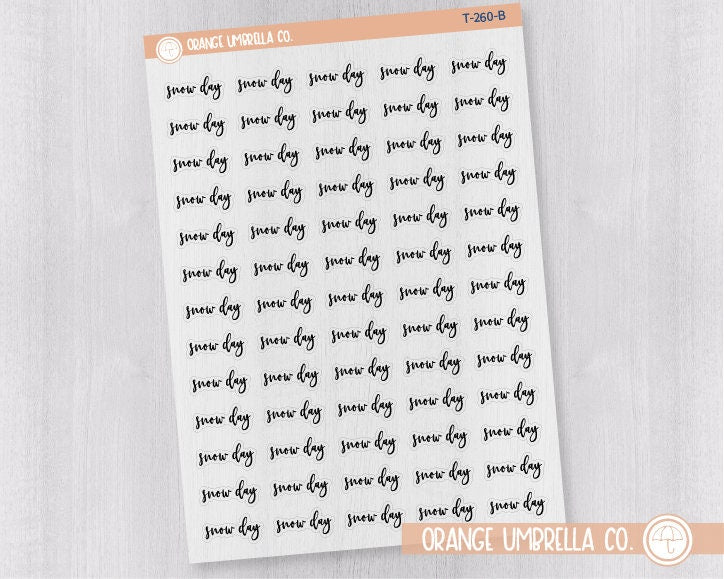 Snow Day Script Planner Stickers | F2 Clear Matte | T-260-BCM