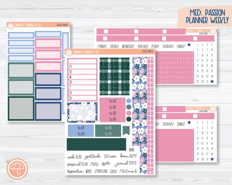 CLEARANCE | 7x9 Passion Weekly Planner Kit Stickers | Spring Gingham 222-061