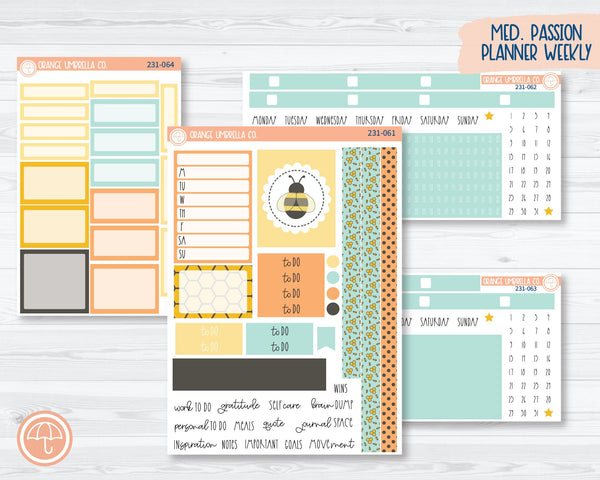 CLEARANCE | 7x9 Passion Weekly Planner Kit Stickers | So Bee It 231-061