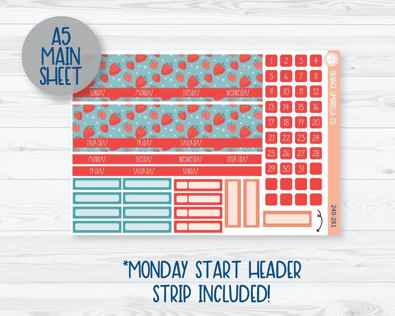 CLEARANCE | MakseLife A5 & 7x9 Monthly Planner Kit Stickers | Sun-Ripened 240-281