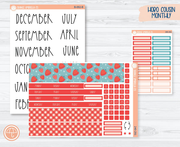 Hobonichi Cousin Monthly Planner Kit Stickers | Sun-Ripened 240-291