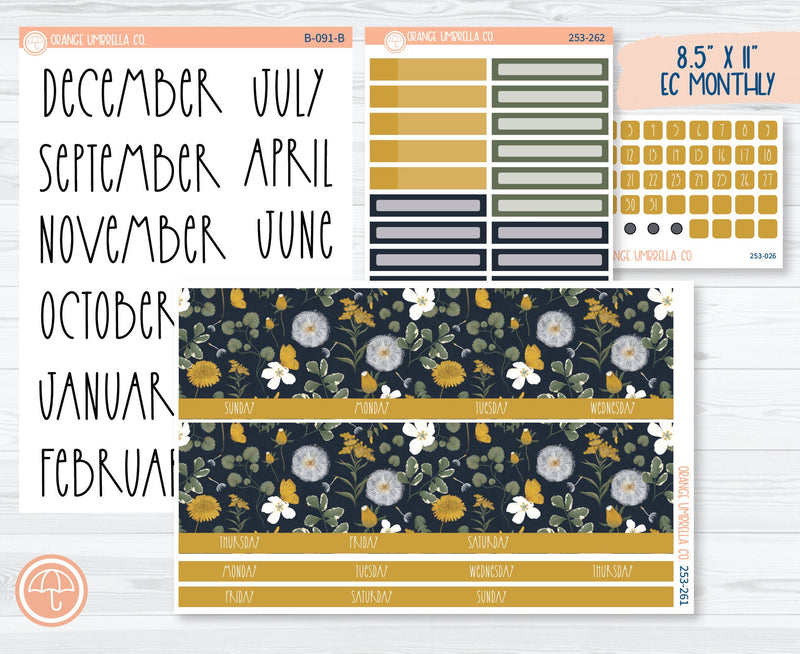 CLEARANCE | 8.5 ECLP Monthly Planner Kit Stickers | Wishful 253-261