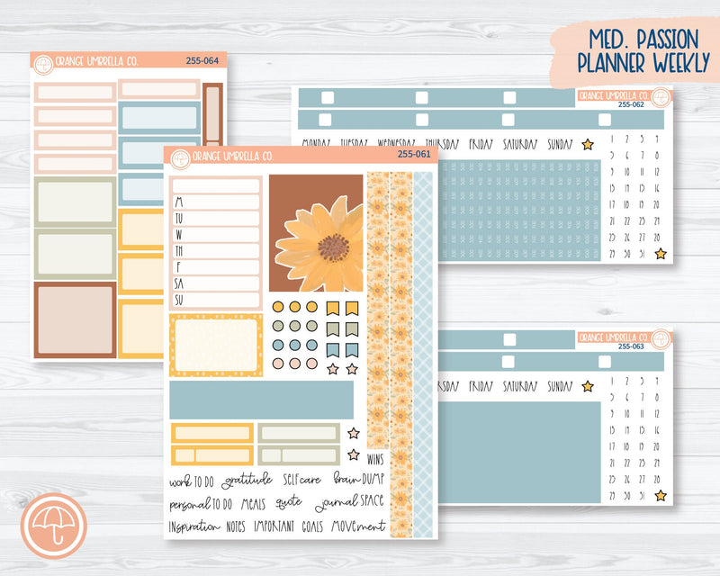 CLEARANCE | 7x9 Passion Weekly Planner Kit Stickers | Sun-Drenched 255-061