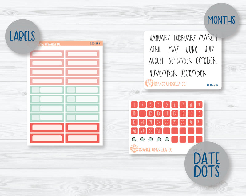 Passion Planner Monthly Planner Kit Stickers | Smarty Pants 256-271