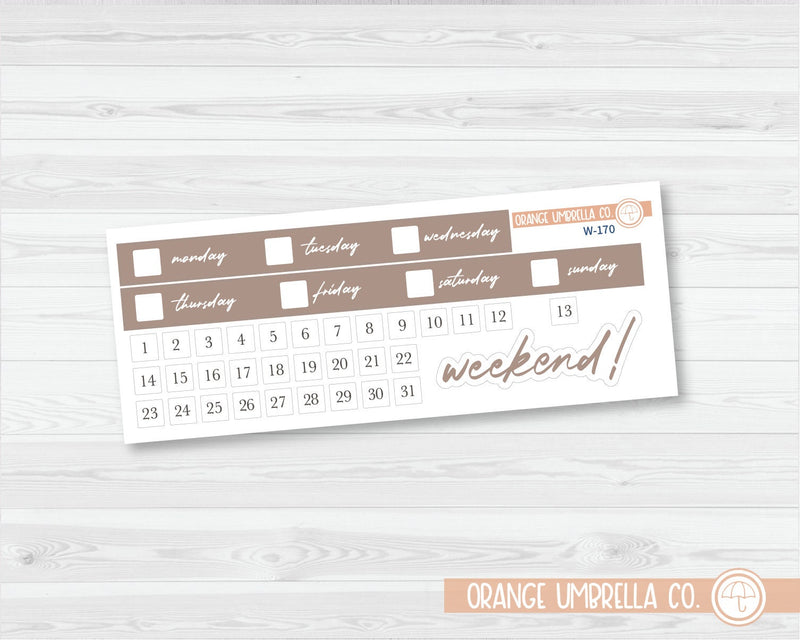 CLEARANCE | ECLP Hourly Date Covers Planner Stickers | Wildflower Palette | W-169-174