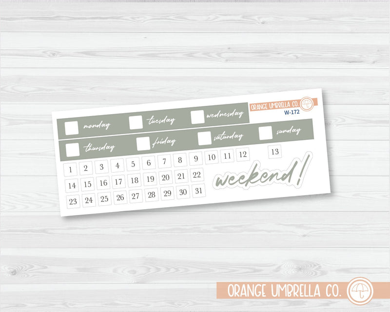 ECLP Hourly Date Covers Planner Stickers | Wildflower Palette | W-169-174