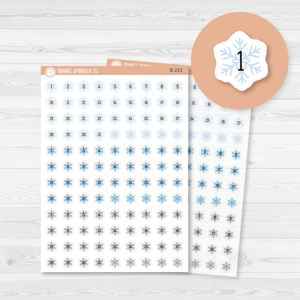 Snowflake Date Dots - 3 Months Planner Stickers | B-233