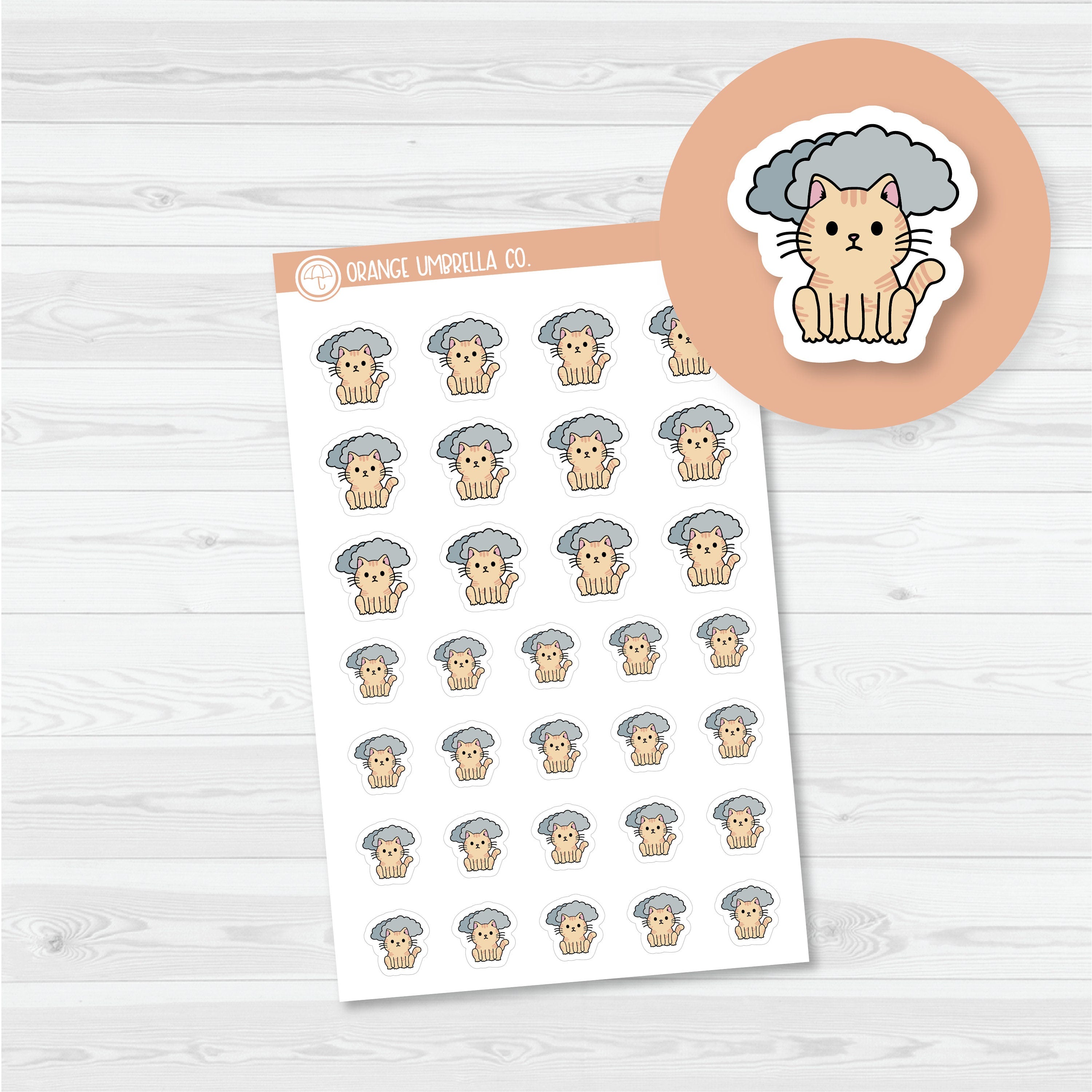 Spazz Weather Tracker Planner Stickers | I-411-417