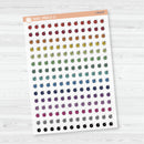 Checkmark Icon Planner Stickers | Clear MatteTo Do Lists Icons | I-424-CM