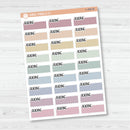Reading Stitched Quarter Box Planner Stickers | Solid Color Labels | L-496